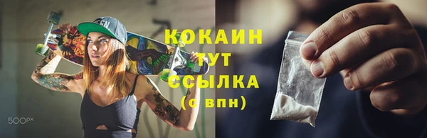прущие грибы Абинск