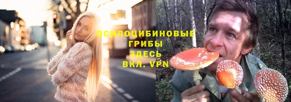 прущие грибы Абинск