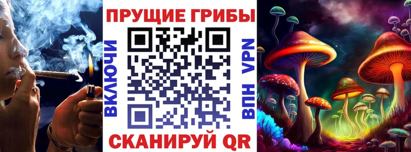 Псилоцибиновые грибы GOLDEN TEACHER Ак-Довурак